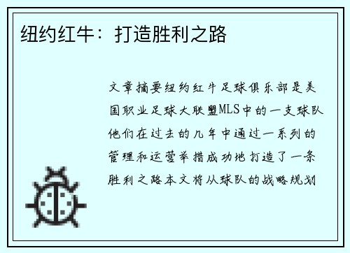 纽约红牛：打造胜利之路